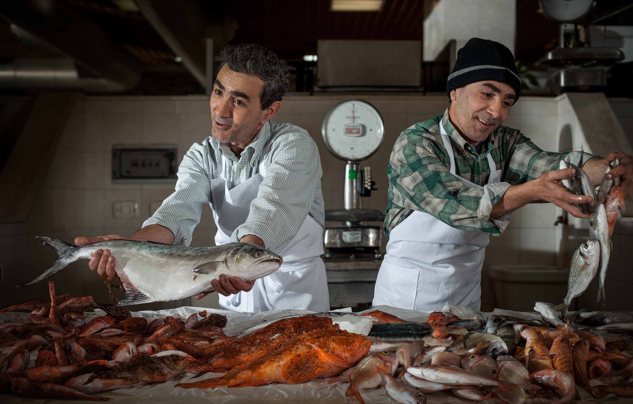 Cagliari_banco-del-pesce-al-mercato-civico