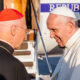 Papa Francesco in Aeroporto 27-5-2017 (19)