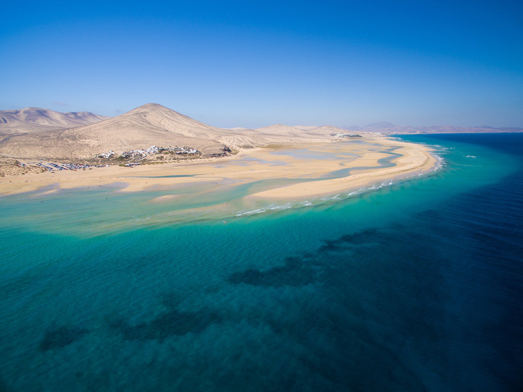 Canarie (1)