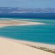 Canarie (2)