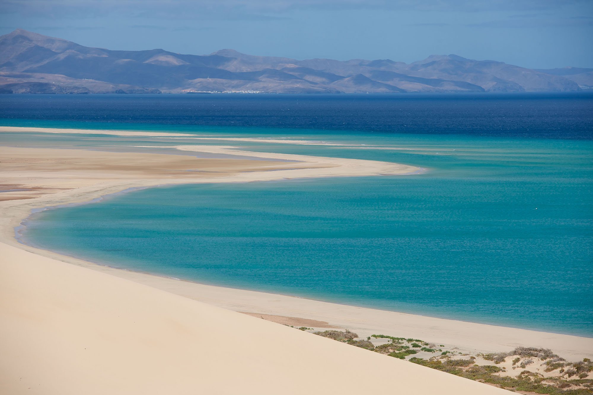 Canarie (2)