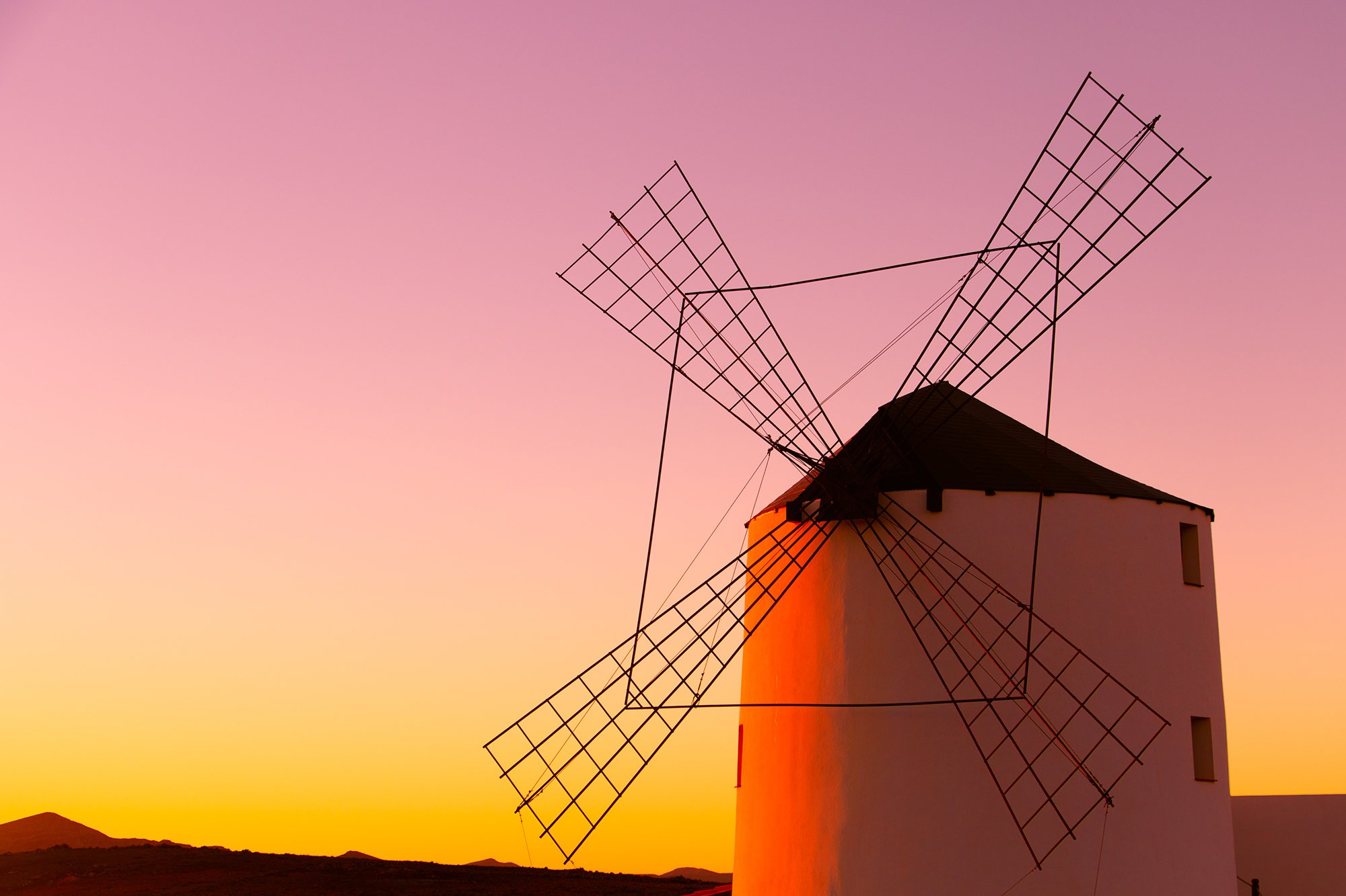 Canarie (6)