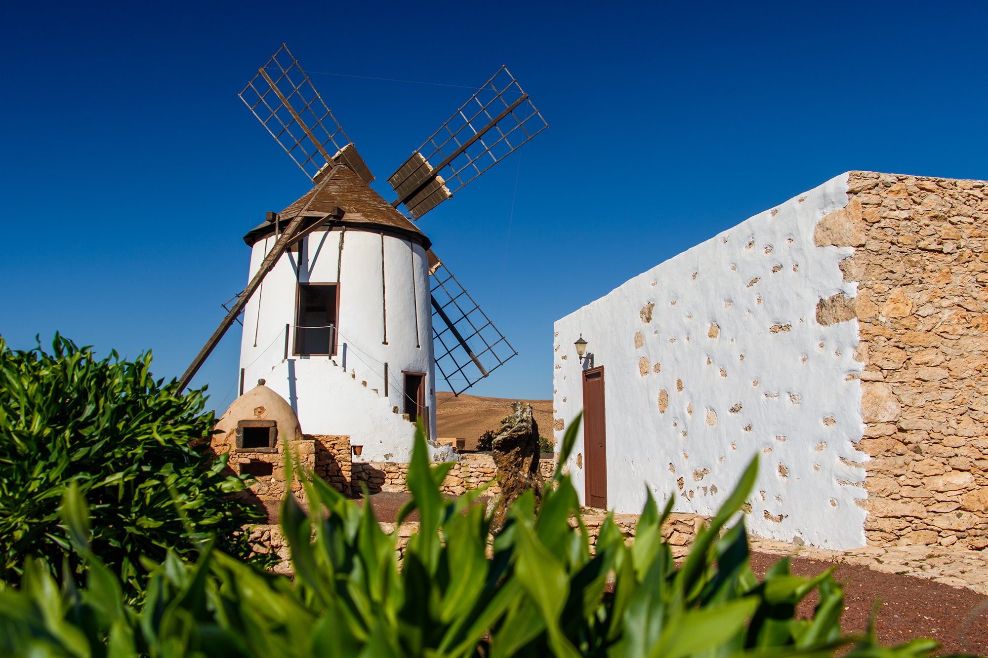 Canarie (7)