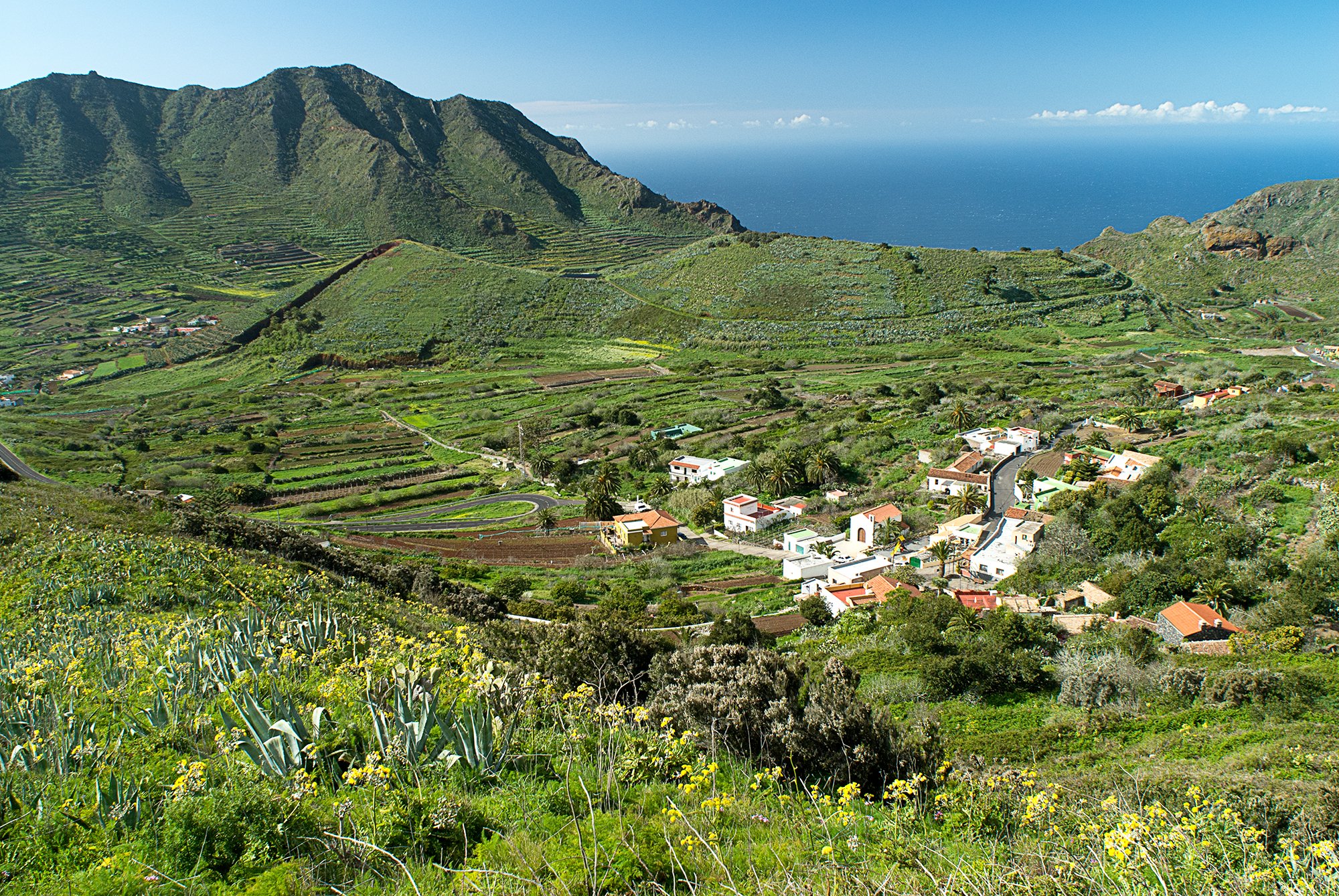 Canarie (8)